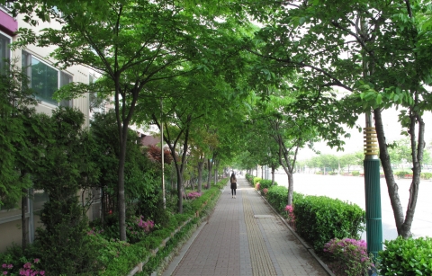 은평구