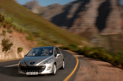 New308 MCP