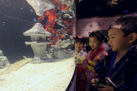 1일 어린이들이 부산아쿠아리움 천만돌파를 축하하며 일본 오아라이수족관에서 기증한 걷는 물고기 ‘성대’를 바라보고 있다.