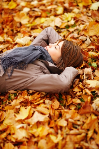 노보텔 앰배서더 강남, 가을 패키지 ‘시크릿 Paris 패키지’