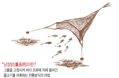 풀무원, 프리미엄 멸치 ‘낭장망 멸치’ 첫 출시