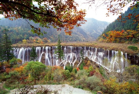 중국 구채구