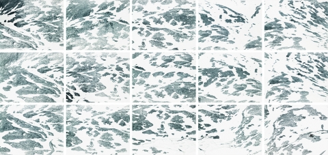 GRAUE WAND 4/2001, edition 1/6 15 prints (each image 104x131 cm),  3,12 m X 6,67 m