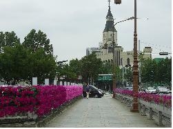 대구시, 차별성 있는 꽃거리 만들기 활발하게 펼친다