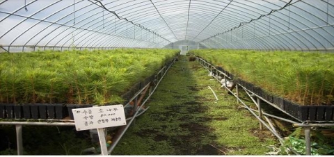 충남, 가을철 나무심기로 경제림 조성한다