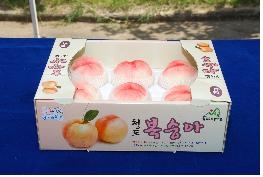 경북농업기술원, 외벽에 손잡이가 있는 포장상자 특허출원