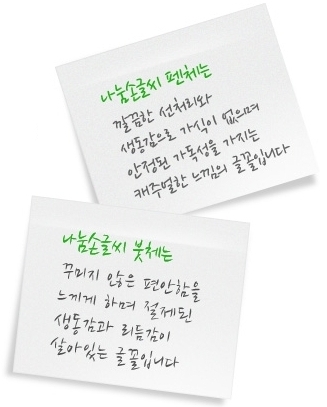 나눔손글씨 펜체붓체