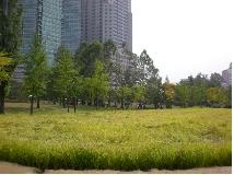 서울시, ‘보라매공원 벼베기체험 행사’ 개최