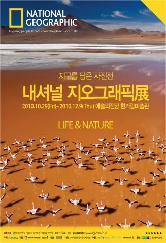 플라밍고포스터_내셔널지오그래픽展