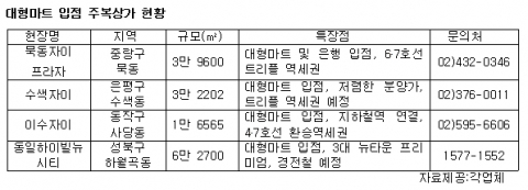 대형마트 입점 주복상가 현황