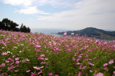 삶에 쉼표를 선물하는 여행, 청산도 브랜드 민박 ‘청산휴가’(靑山休家)