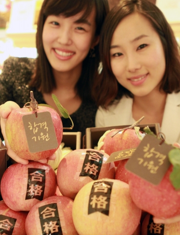 현대백화점, 태풍도 이겨낸 합격사과 예약하세요