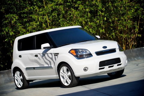 Kia Soul White Tiger