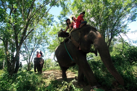 태국_코끼리트레킹