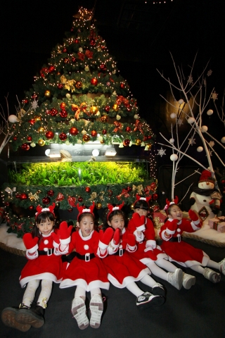 2010 부산아쿠아리움 크리스마스 특별전 진행