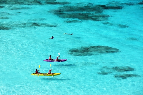 태국 시밀란 8번섬