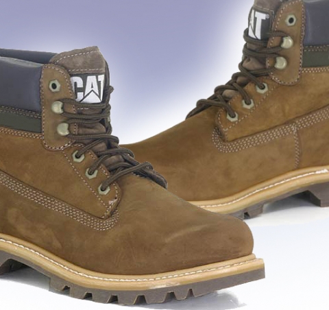 추운 겨울에도 신발 속 세균·곰팡이가 번식한다