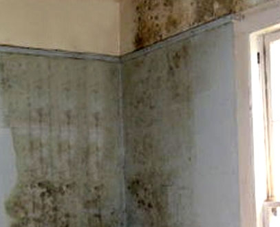 곰팡이증후군 예방을 위한 베란다 항균코팅제 ‘바이오피톤 곰팡이무균’