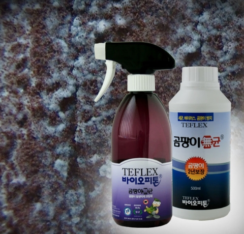 겨울만 되면 나타나는 ‘결로현상’ 곰팡이 성장 막아야