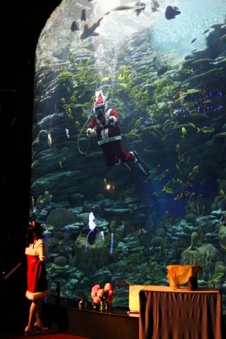 산타아쿠아리스트와 산타 사회자가 수중 마술쇼를 선보이고 있다.