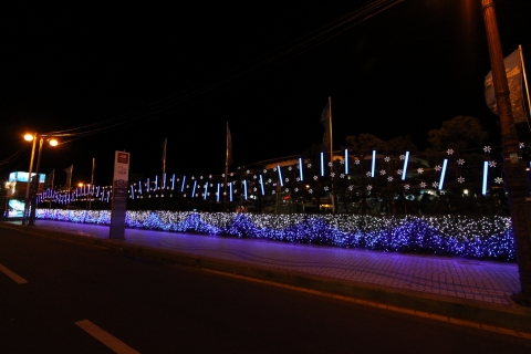 해운대 해수욕장 부산아쿠아리움 일대에 조성된 70m 파도조명