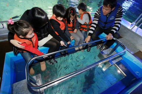 20일, 상어관람 투명보트를 타고 발 아래로 지나가는 그레이너스 상어를 관람하고 있다.