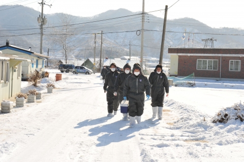 건국대 수의과대학 학생들 구제역 방역 자원봉사 나서