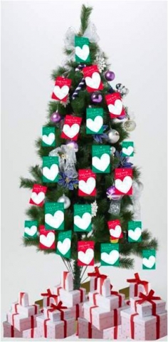 슈마커 드림트리 이벤트