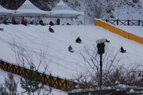 천원으로 즐기는 눈썰매장 인기 급상승