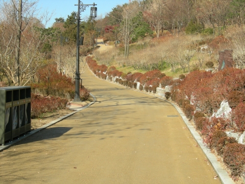 산책로정비