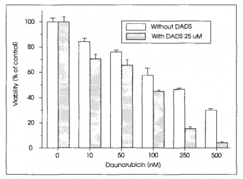 마늘에서 추출한 항암성분 ‘DADS’, 암·신종플루에 효과
