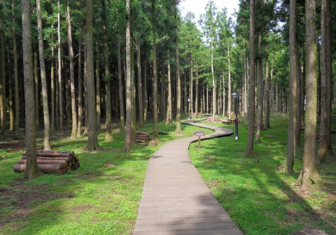 자연체험 프로그램