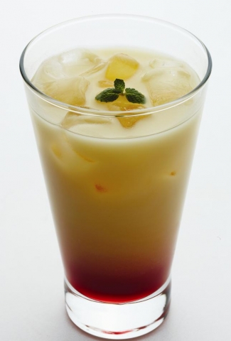 비비고 오미자오렌지 막걸리