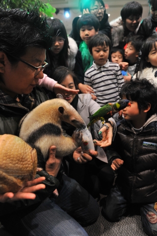 현대백화점에서 희귀동물 구경하세요