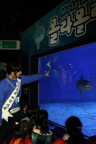 부산아쿠아리움, 해설사가 들려주는 ‘몰라몰라 스토리텔링’ 프로그램 인기
