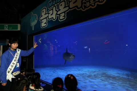 부산아쿠아리움, 해설사가 들려주는 ‘몰라몰라 스토리텔링’ 프로그램 인기