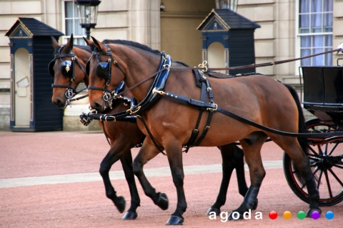 왕족 결혼식과 함께하는 아고다 런던 프로모션
