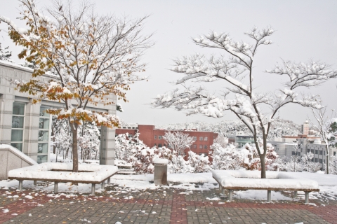 군산대 희망나눔사업단, 청소년통합발달 프로그램 하이드림 참가자 모집