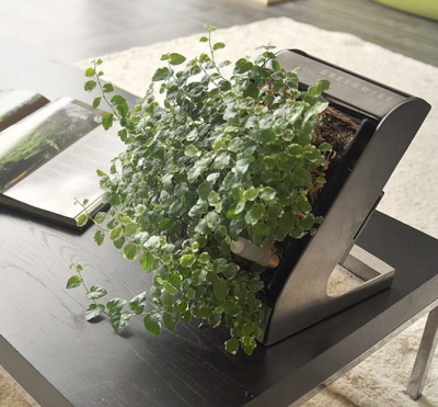 ㈜그린와이즈의 '식물 공기청정기'