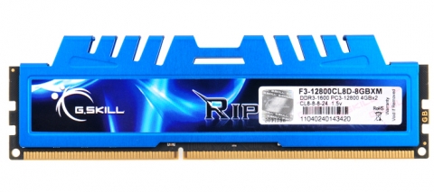 G.SKILL RIPJAWS XM 제품 사진