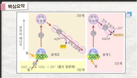 호주머니 속의 움직이는 책장…PMP 수능 참고서 ‘참깨’ 출시