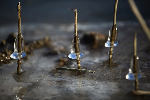 최우수상 얼음종