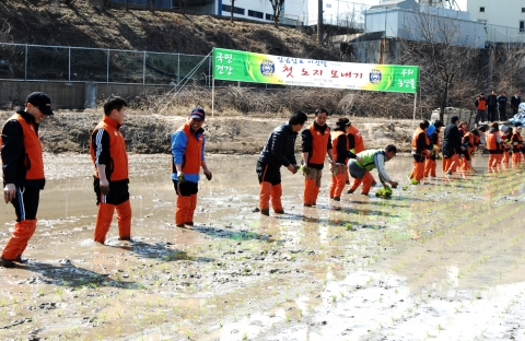 하이닉스, 전국 첫 노지 모내기 참여로 풍년 기원