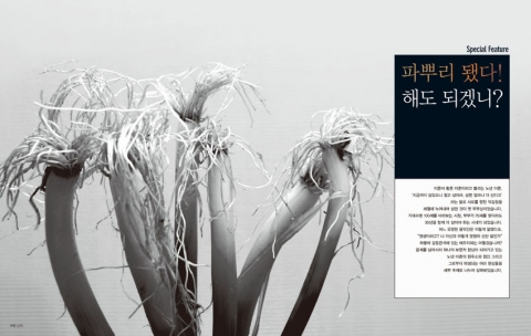 월간 ‘이혼이야기’ 4월호(통권3호) 발간