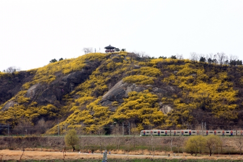 성동구 응봉산