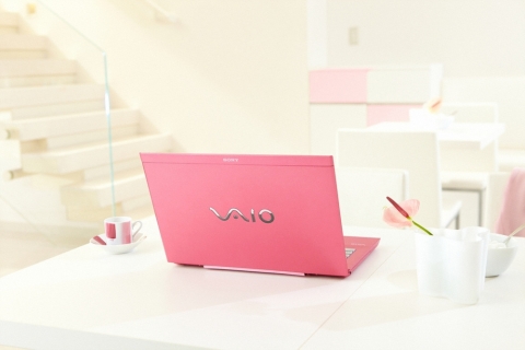 바이오 봄 신모델