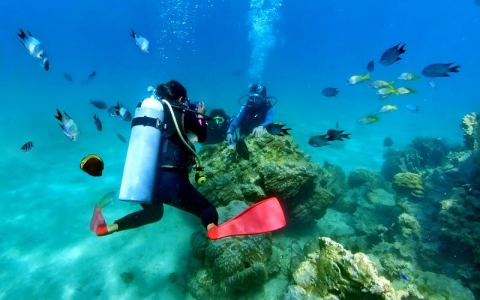 천국으로의 허니문, 뉴칼레도니아