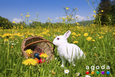 아고다, 부활절을 기념하여 전세계의 다양한 호텔 상품 출시