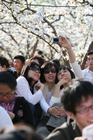 봄꽃이 진동하는 계절에 한 편의 아름다운  음악여행으로 초대할 <사랑밭 새벽편지 배꽃음악회>가 오는 4월 23일 오후 2시 천안시 성환읍 왕지과수원에서 열린다.