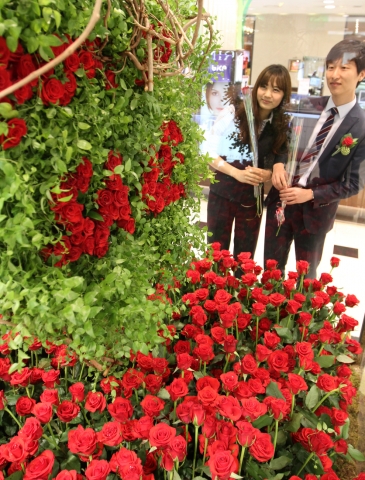 현대백화점 무역센터점은 봄 정기세일을 맞아 빨간 장미 1천5백송이로 꾸며진 화단을 만들었다. 화려한 장미꽃으로 화사한 봄을 열정을 전달하고자 만들어졌으며 또한 장미로 ‘파워세일’이라는 글씨를 새긴 조형물을 만들어 화단 가운데 걸어놓았다. 일본 지진 해일로 수출이 어려워진 화훼농가의 꽃으로 조성됐으며 백화점 내점고객과 구매고객에게 한 송이씩 전달했다.